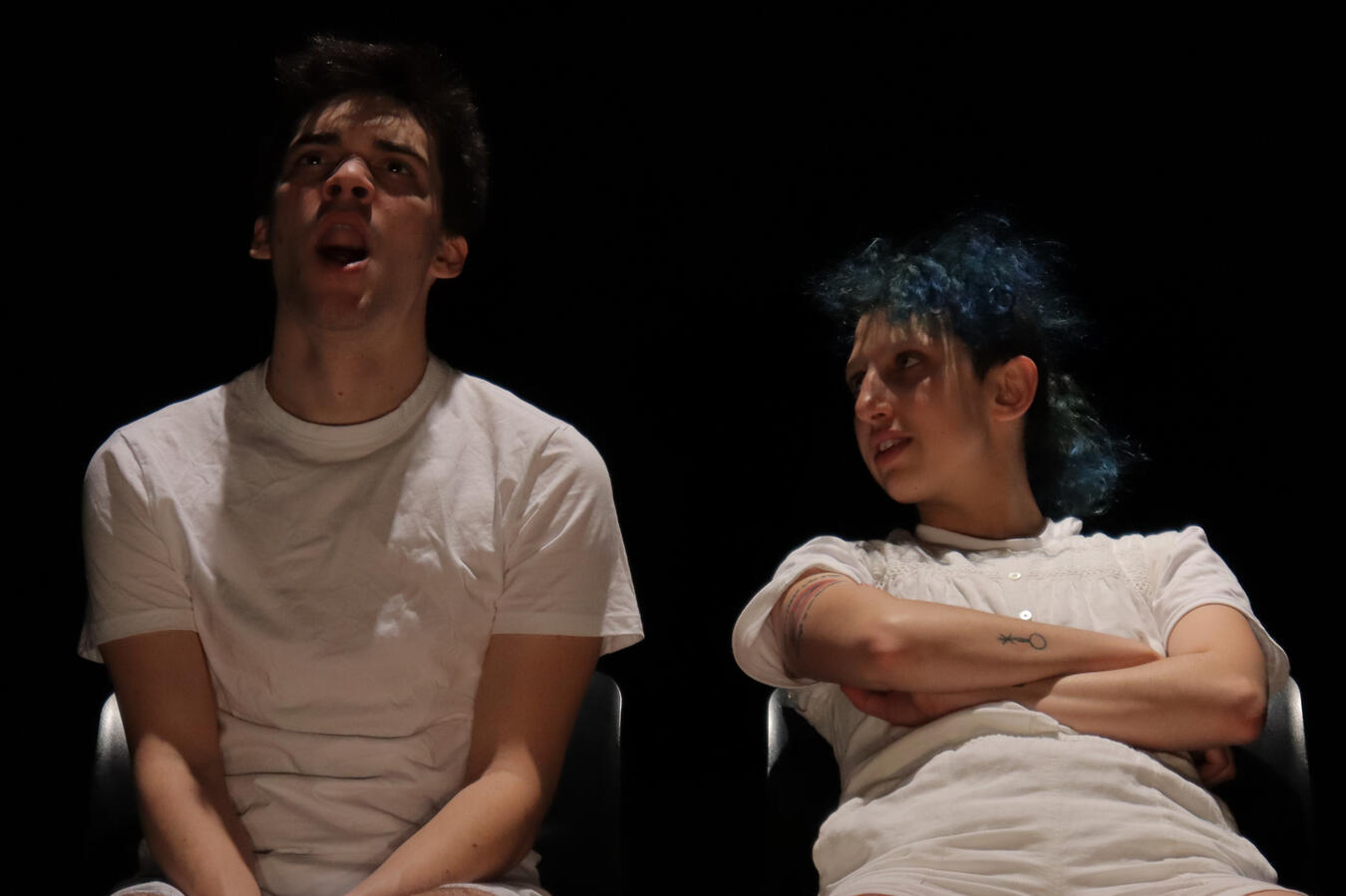 Southern Bedfellows, 2020